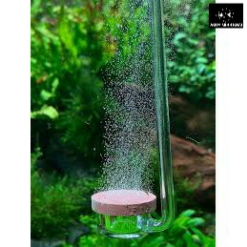 Cốc sủi CO2 siêu mịn AQUARIO NEO CO2 DIFFUSER - Normal, Special (Tặng kèm dây sủi)