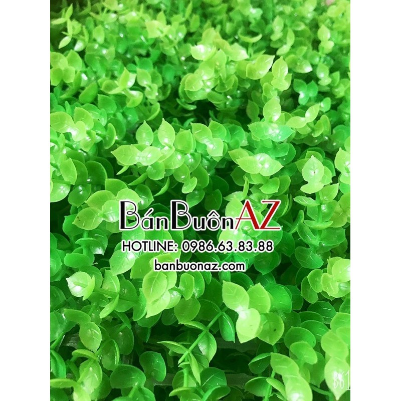 Thảm cỏ tai chuột, thảm cỏ xoong cao cấp loại 1