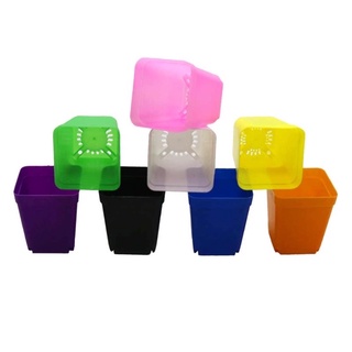 Chậu nhựa đủ màu 5x5