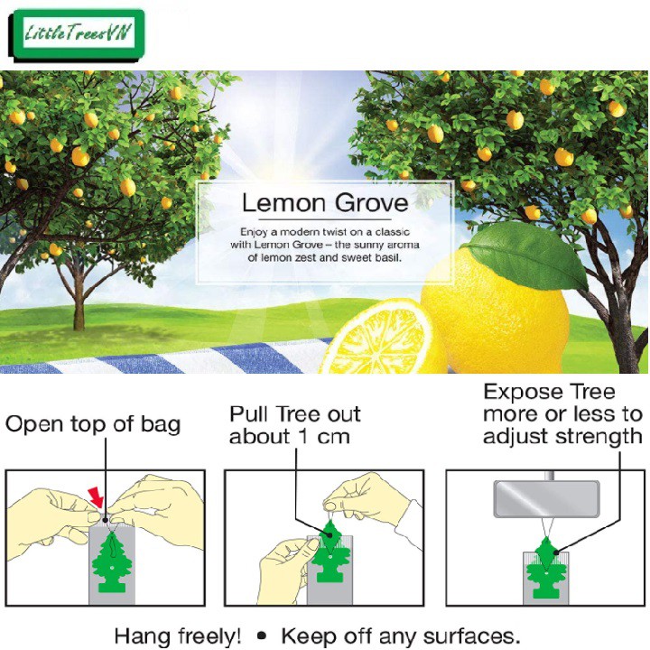 COMBO 5 CÂY THÔNG THƠM LITTLE TREES - Lemon Grove