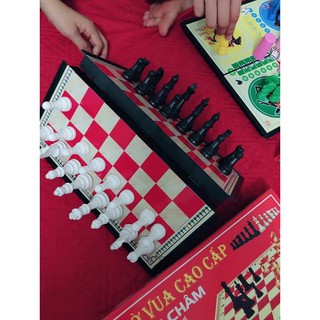 BỘ CÁ NGỰA VÀ BỘ CỜ VUA