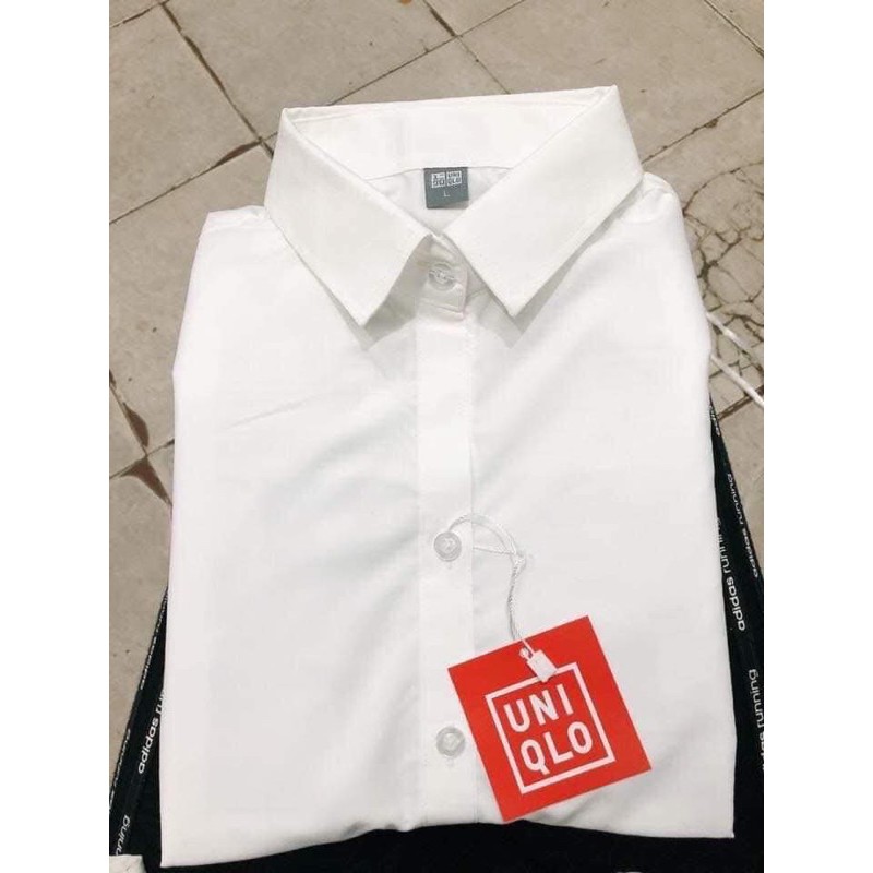 Áo sơ mi trắng dài tay và cộc tay