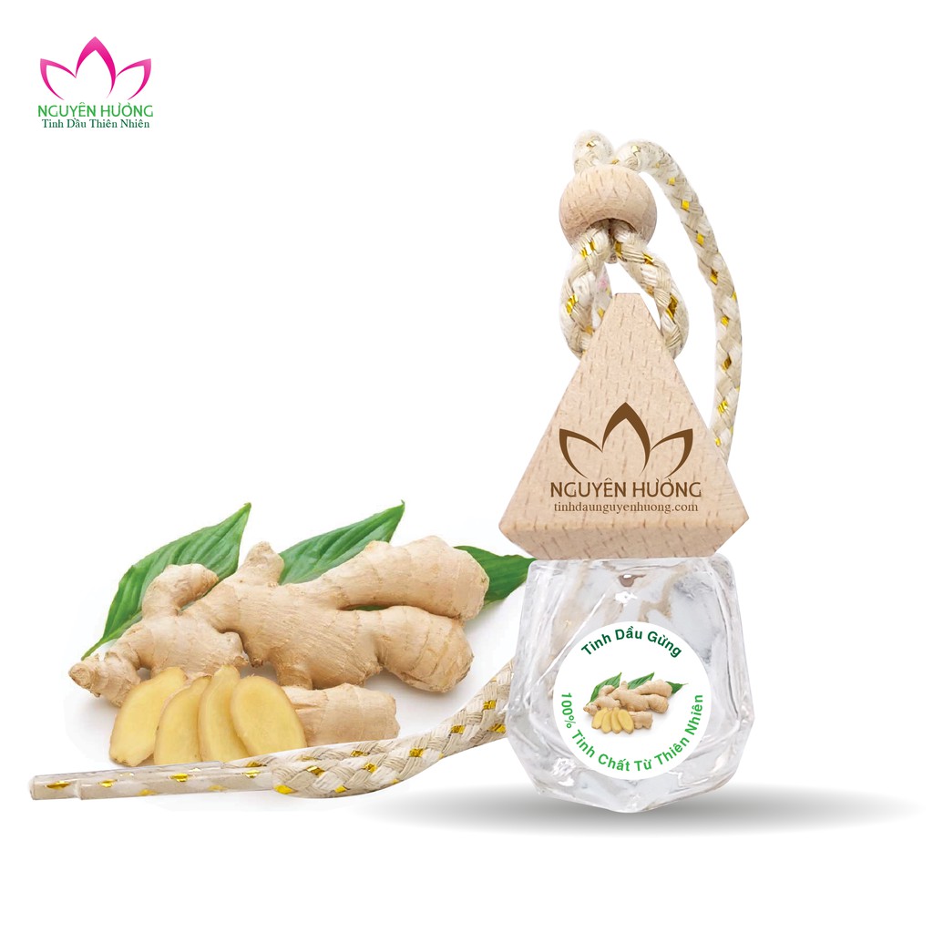 Tinh Dầu Gừng (Ginger ) – 100% nguyên chất ( Treo xe, Xông thơm phòng... ) | Thế Giới Skin Care