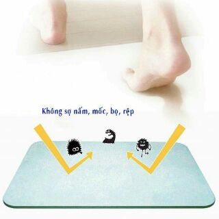 Thảm đá chùi chân