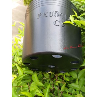 Chậu nhựa đen C9