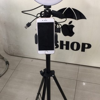 Bộ đèn live stream đa năng size 20cm