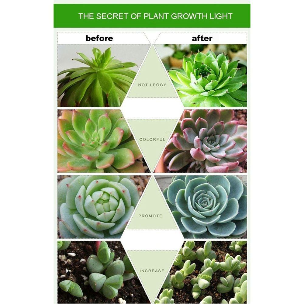 Đèn LED Kích Thích Tăng Trưởng Cho Cây Trồng 28 Bóng LED Màu Đỏ + Xanh Dương + Trắng + UV + IR