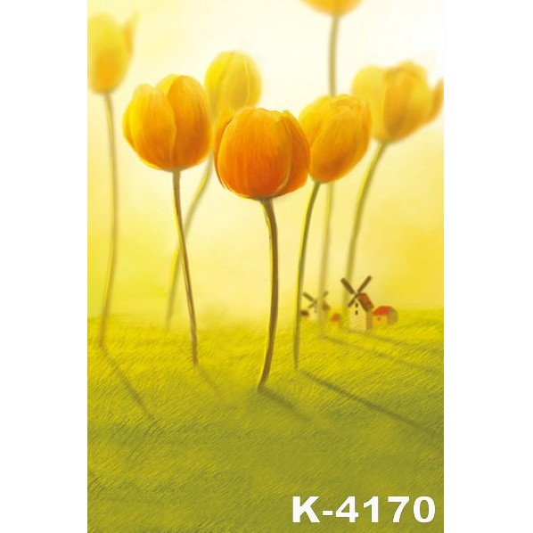 Phông 3D chụp ảnh 2x3m mã K-4170