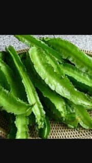 Bộ gói hạt giống Đậu rồng
