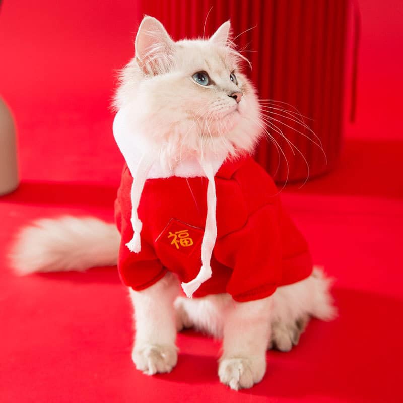 Áo hoodie tai mèo Tết cho cún miu 🧧