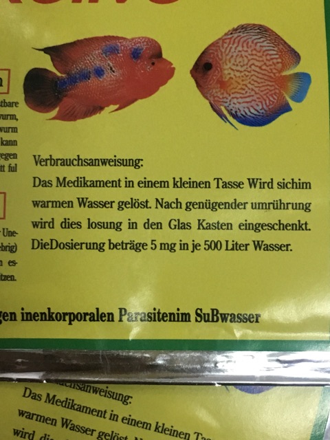Sình bụng phân trắng lủng đầu lở mình cho cá