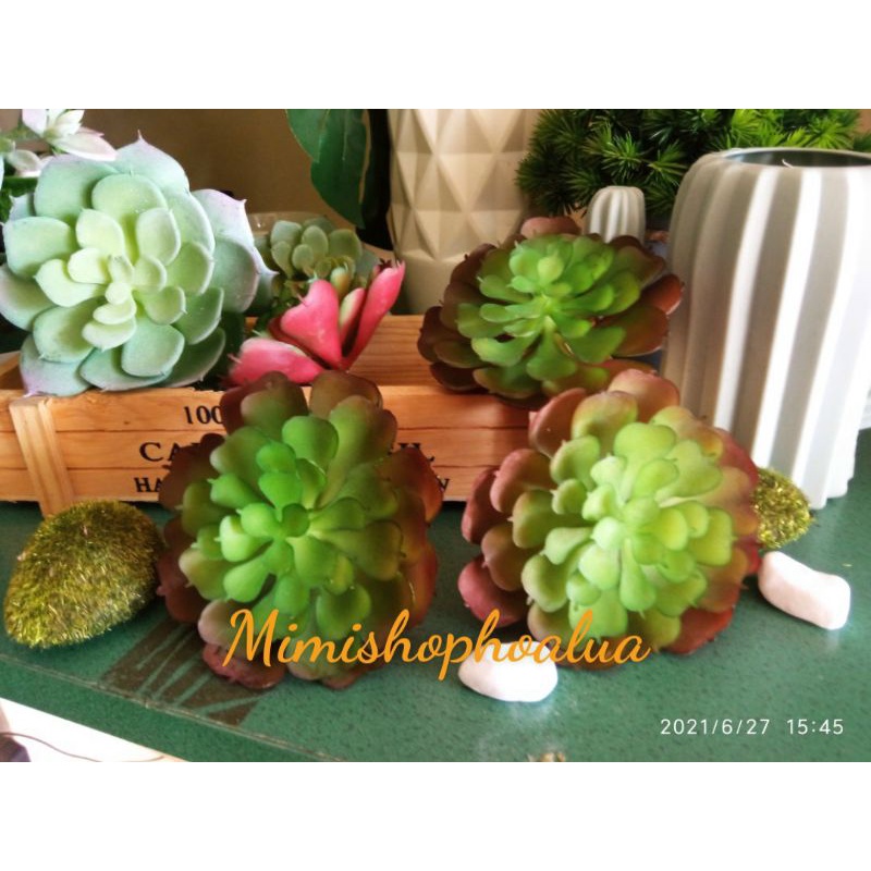 Cây giả- sen đá mini - 8cm