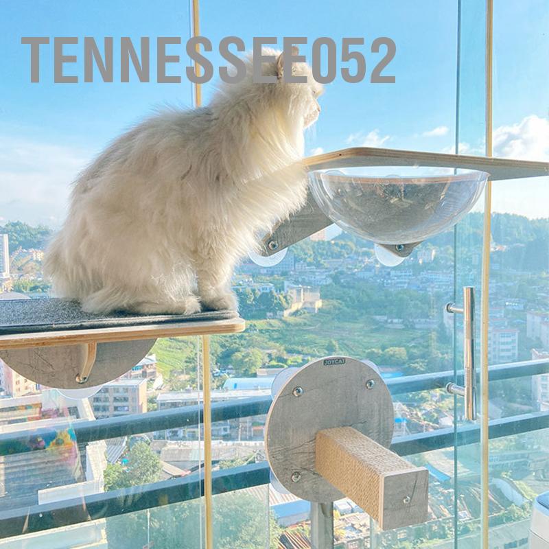 [Hàng HOT] Cattree Kệ Treo Tường / Trụ cào móng Hút cửa Kính Cho Mèo Chịu Lực Lớn Chống Trượt【Tennessee052】