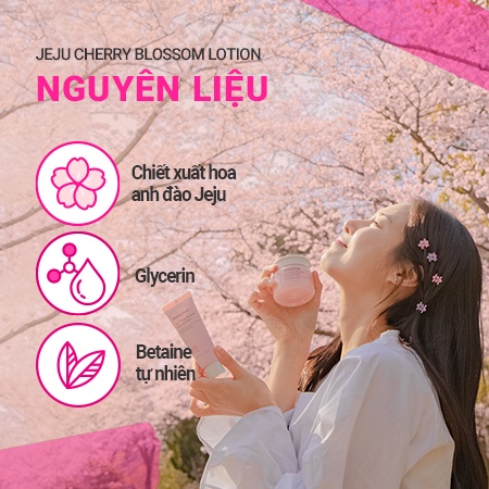 Bộ dưỡng trắng da rạng rỡ chiết xuất hoa anh đào Innisfree Jeju Cherry Blossom Dou Kit