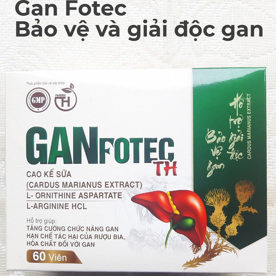 [GIÁ SỈ] GANFOTEC TH - Thanh nhiệt, giải độc gan, tăng cường chức năng gan, phục hồi tổn thương gan do bia rượu và các b