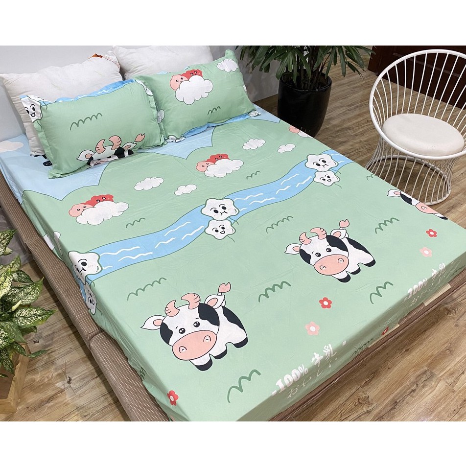 Ga Gối Trải Giường Poly Cotton M6/M8 Nhiều Mẫu Tùy Chọn Có kèm 2 vỏ gối (Khách chọn mẫu để lại ghi chú nhé)