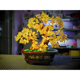 Cây tài lộc  đá thach anh vàng trưng bày 25 cm