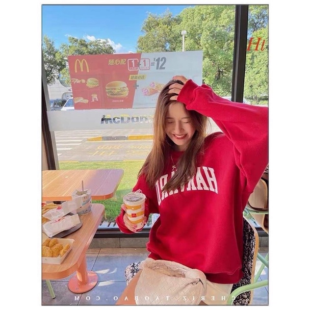 Áo swearter nỉ cotton HARA H2A499