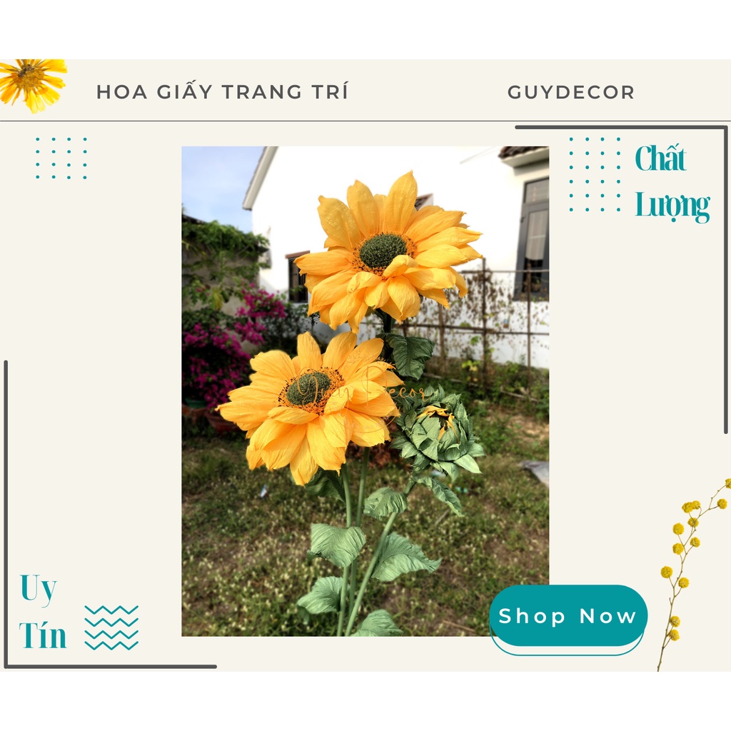 (ẢNH THẬT) TRỤ HOA HƯỚNG DƯƠNG KHỔNG LỒ GIẤY NHÚN Ý CAO CẤP