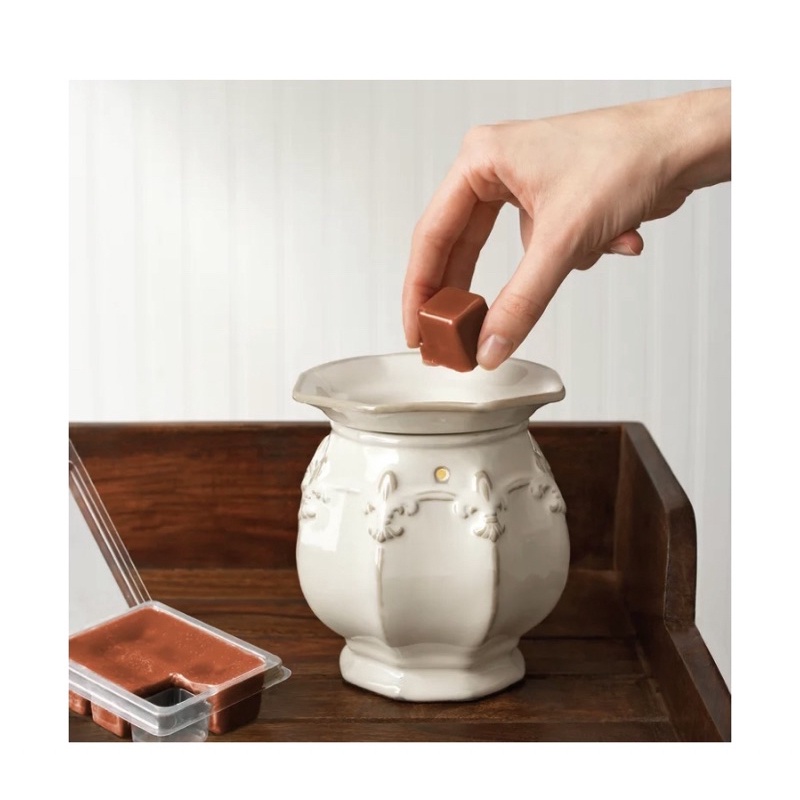 Made in US wax melt Sáp thơm tan chảy hương nước hoa ScentSationals, 1 vỉ 6 viên