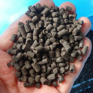 Phân gà Nhật dinamic 1 kg phân hữu cơ