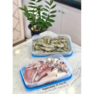 Hộp nhựa Tupperware Freezermate