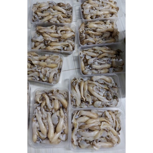Thịt ốc-móng tay làm sạch, tươi ngọt ngon -1kg