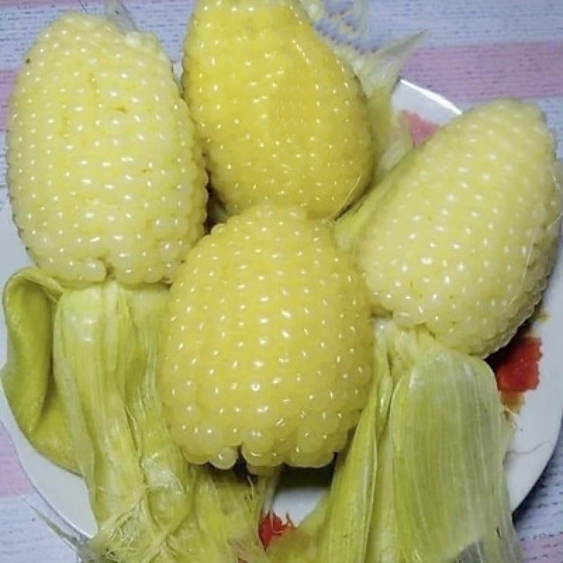 Hạt giống bắp nù sữa cao sản F1