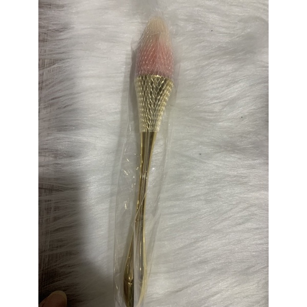 Chổi phủi bụi dài, Chổi phủi bụi nail cán dài