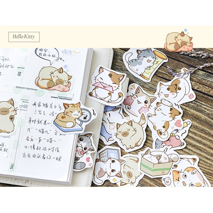 Hộp 45 miếng sticker mẫu những bé mèo con đáng yêu