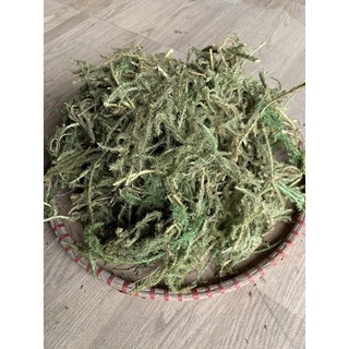 1kg Thảo Dược Cây Thông Đất khô sạch - tốt cho não