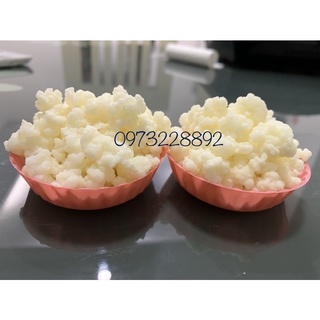 Combo Scoby kèm nước mồi làm trà Kombucha
