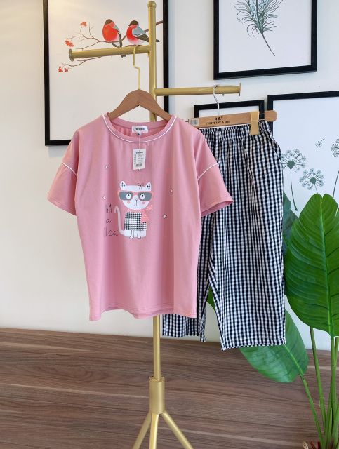 Bộ ao phông quần kẻ