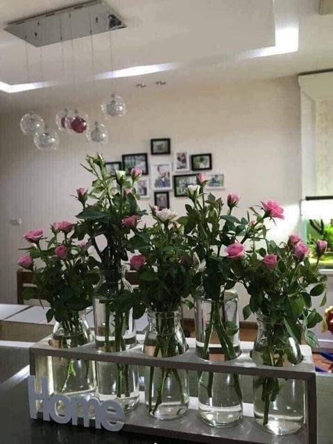 Sét 5 lọ hoa thuỷ tinh HOME