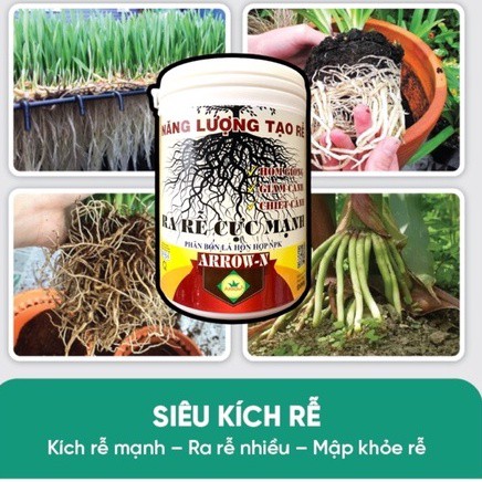 Phân bón lá hỗn hợp NpkARROW-N, Kích Thích Ra Rễ Cực Mạnh dùng cho hom giống, giâm cành , chiết cành
