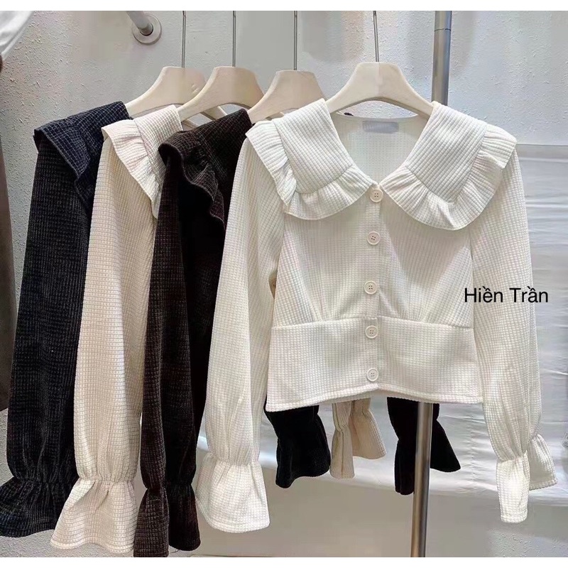 Áo nhung cổ tay bèo ( ảnh thật, có sẵn)
