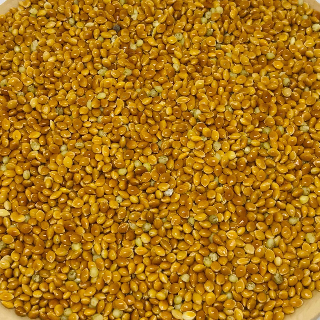 KÊ ĐỎ - GÓI 1KG | BigBuy360 - bigbuy360.vn