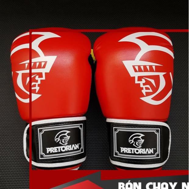 FreeShip  Dụng Cụ Võ Thuật Chính Hãng Găng Boxing nhập khẩu PRETORIAN Khuyến Mãi