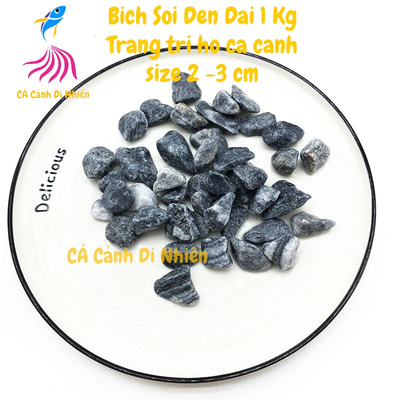 Bịch sỏi ĐEN ĐẠI 1 KG size 2 - 3 CM trang trí hồ cá cảnh