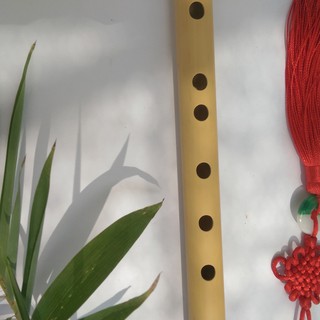 Sáo fa trầm, F4