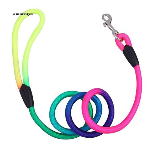 Dây dắt chó cưng bện sợi nylon màu sắc cầu vồng đáng yêu