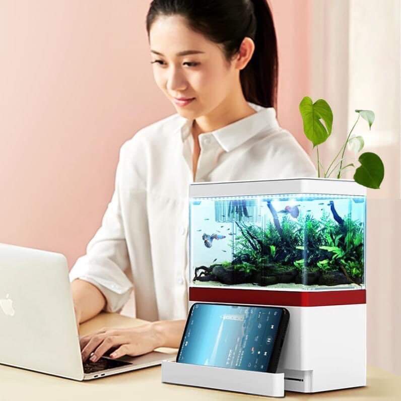 Hồ cá mini để bàn M9 cao cấp