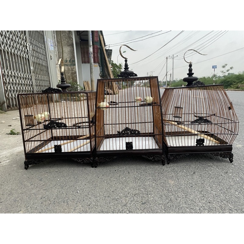 Khung lồng tự ráp Khung lồng chào mào gỗ mun đuôi công đục rồng sắc nét nhiều mẫu mã đẹp cao cấp kèm phụ kiện đẹp