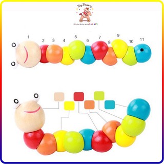 Đồ chơi thông minh con sâu gỗ uốn dẻo nhiều màu sắc cho bé