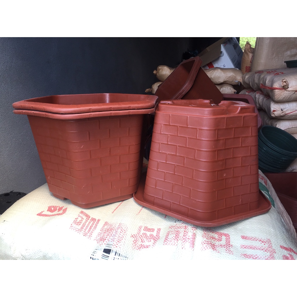 15 CHẬU NHỰA LỤC GIÁC MÃ #450 (DỊCH TRUYỀN CỨU CÂY, KÍCH RỄ MẦM CÂY, BẦU KHAY TÚI ƯƠM..)