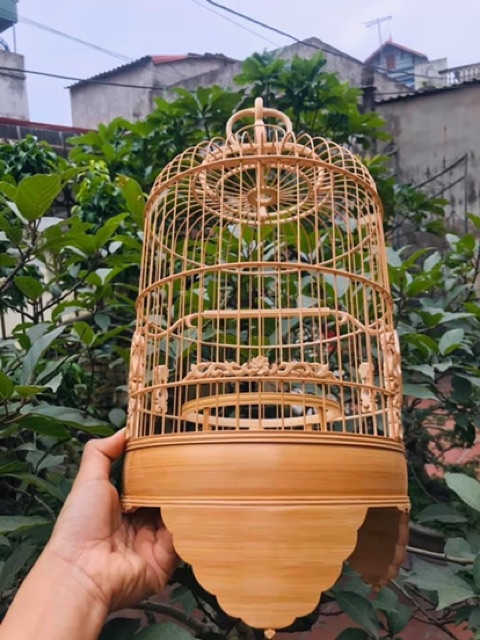 Lồng khuyên đẹp // chân trơn lá đề mix hoa dây Thủng