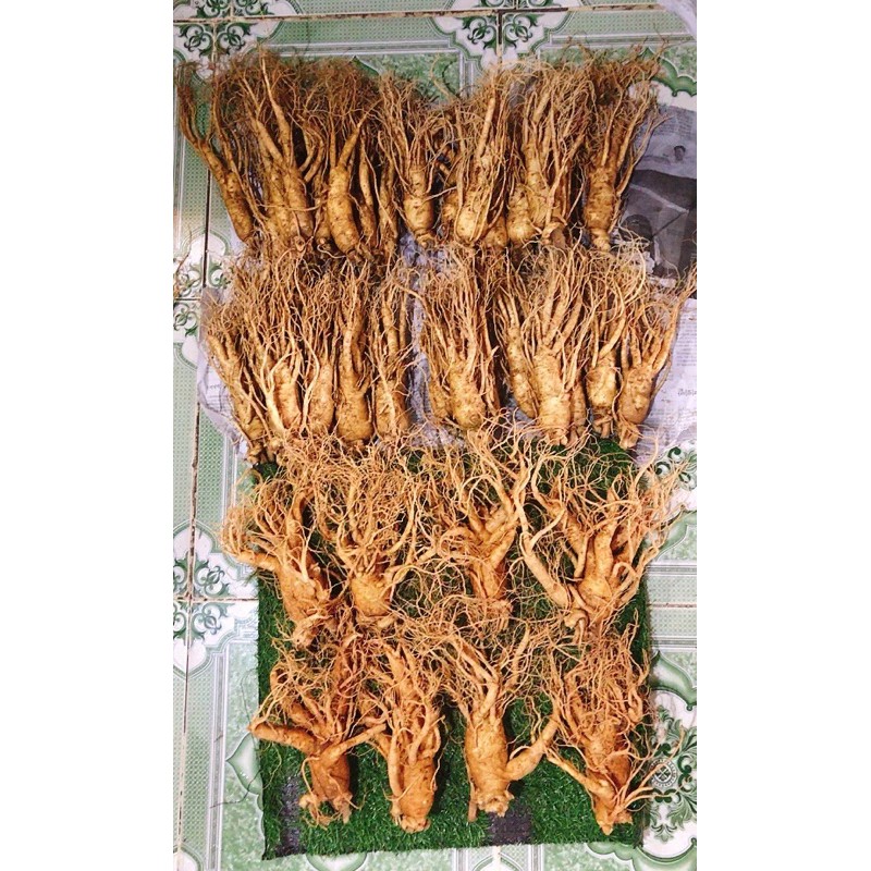 Nhân sâm tươi Hàn Quốc bán lẻ 83k/1 củ | BigBuy360 - bigbuy360.vn