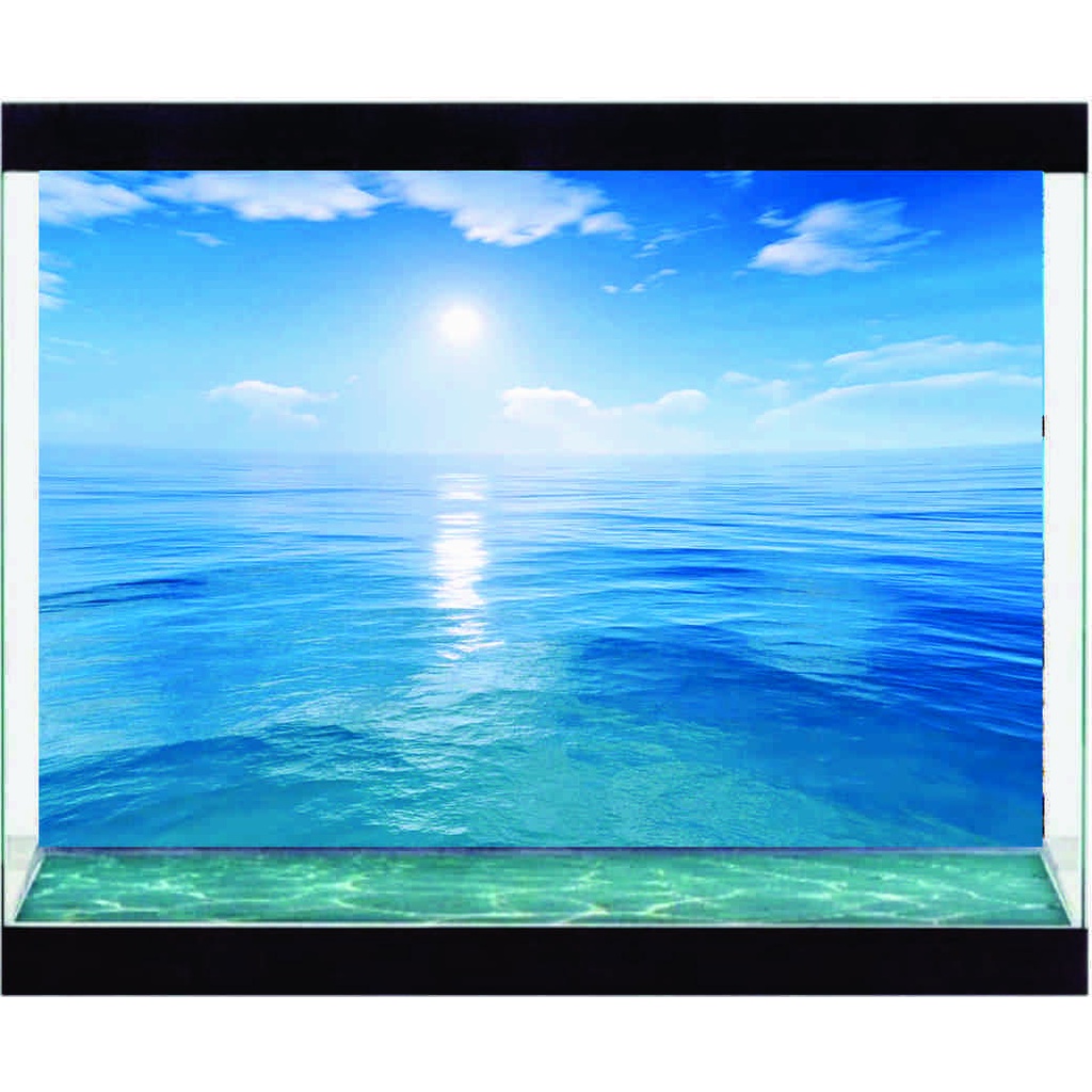 Decal Có Sẵn Keo - Hồ Thủy Sinh  -  Hồ Cá - Decal Sài Gòn