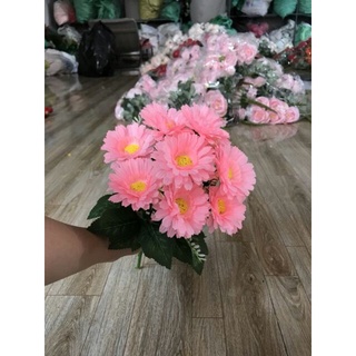 hoa giả - cúc vạn thọ