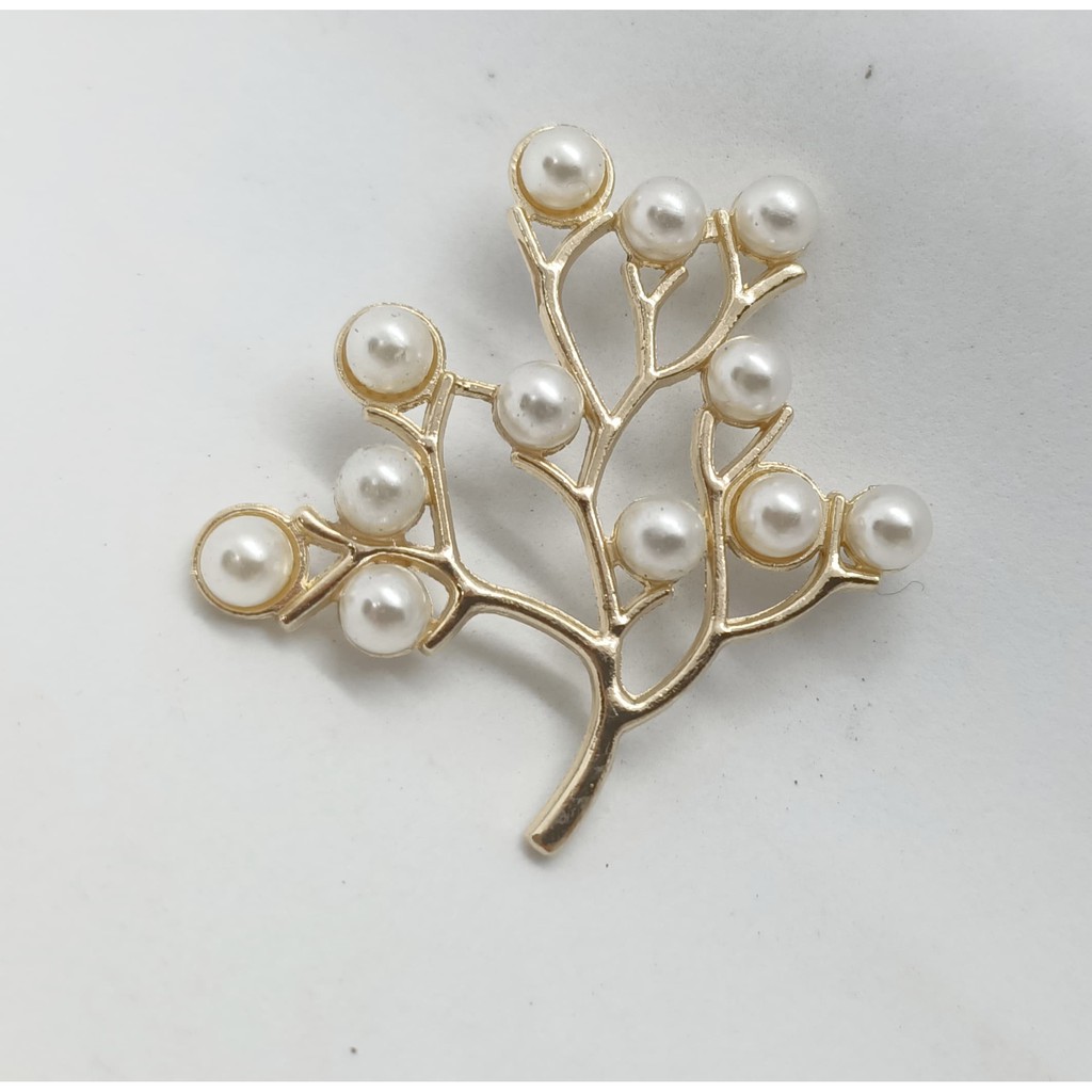Cành hạt trai